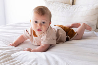 The Desert Sand Basics Set