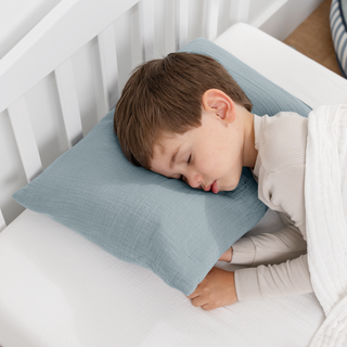 Toddler/Travel Pillow
