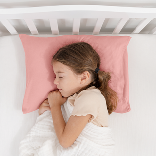 Toddler/Travel Pillow