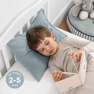 Toddler/Travel Pillow