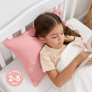 Toddler/Travel Pillow