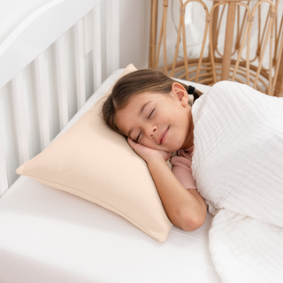 Toddler/Travel Pillow