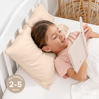 Toddler/Travel Pillow