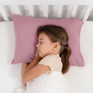 Toddler/Travel Pillow