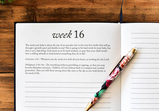 Dear Baby: A Pregnancy Prayer Journal & Memory Book
