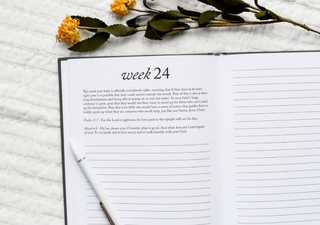 Dear Baby: A Pregnancy Prayer Journal & Memory Book